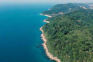 中国青少年篮球发展政策落实现状及优化方案研究，青少年篮球发展现状及对策研究